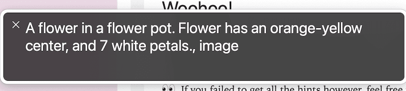 flower voiceover hint image