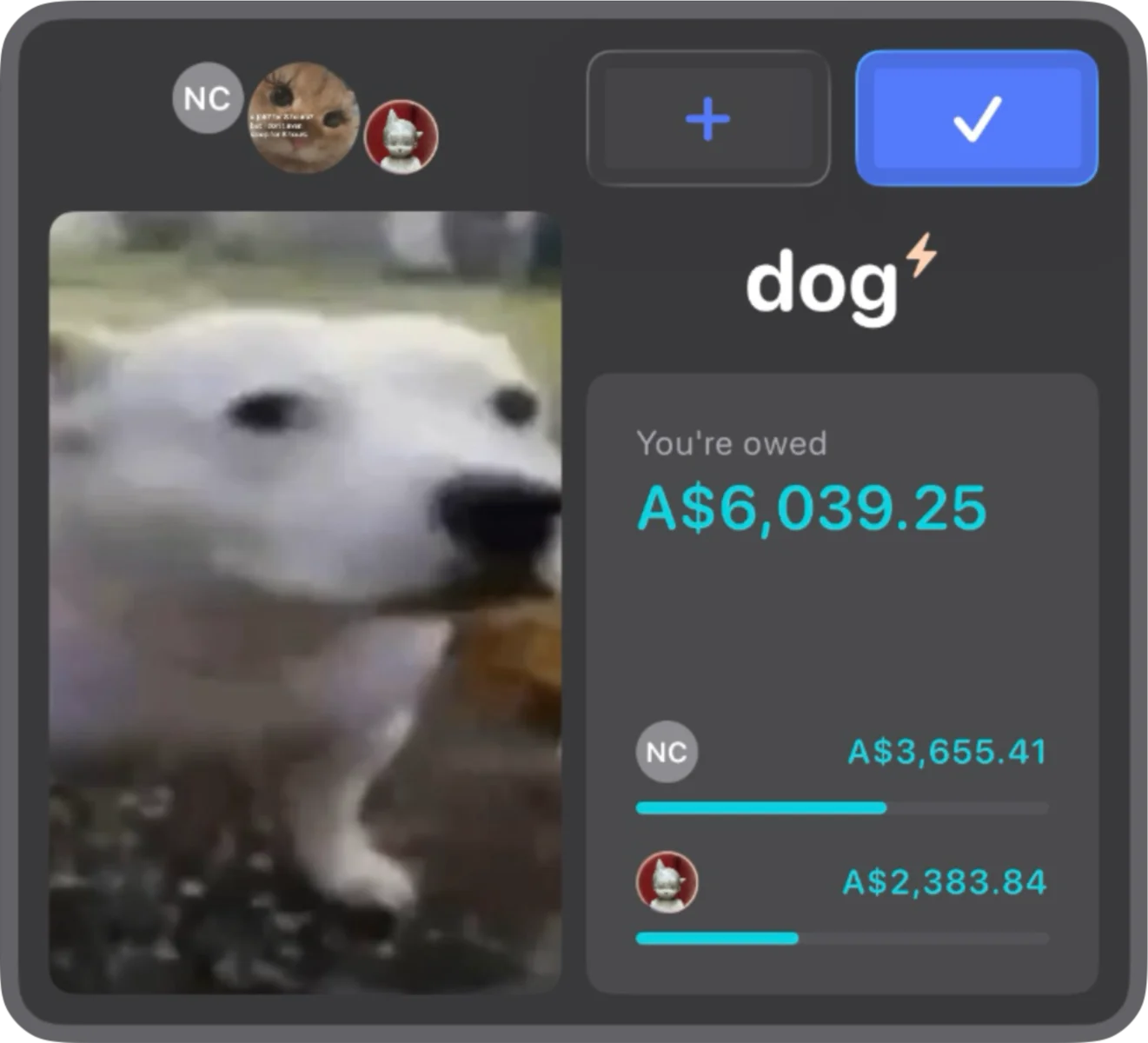 Group overlay dark